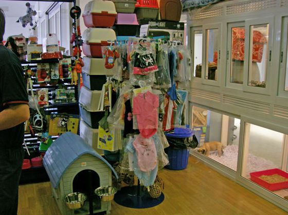 Galería en miniatura