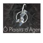 Plaisirs De Lingerie cabaret et music-hall