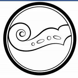 Ecole de violon Suzuki de Paris établissement d'éducation spécialisée