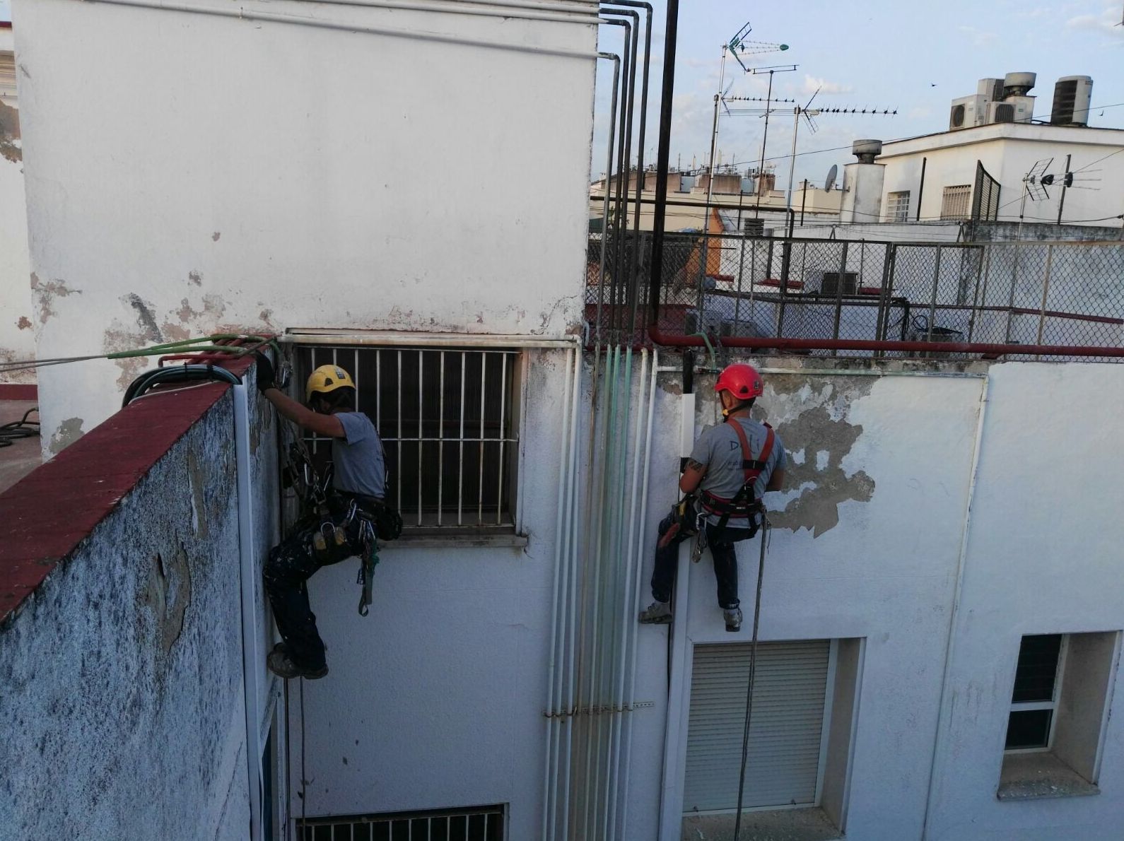 Dali Trabajos Verticales Sevilla