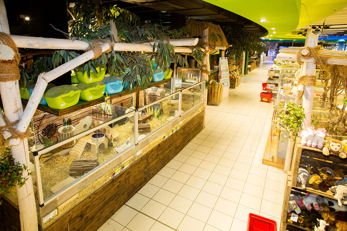 Kölle Zoo München in 81243, München