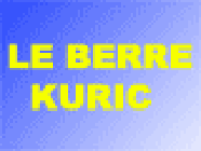 Le Berre Kuric SARL plombier