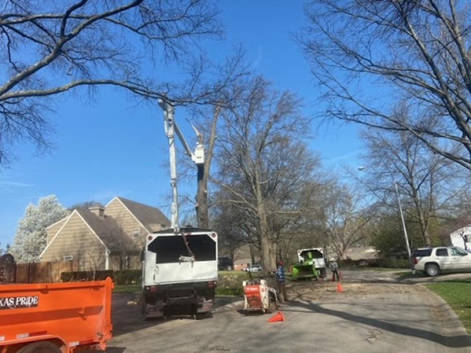 Escobar Tree and Lawn Service - Kansas City, KS