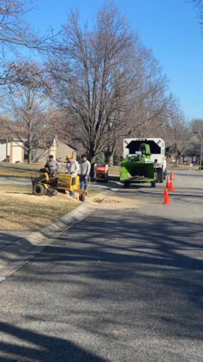 Escobar Tree and Lawn Service - Kansas City, KS