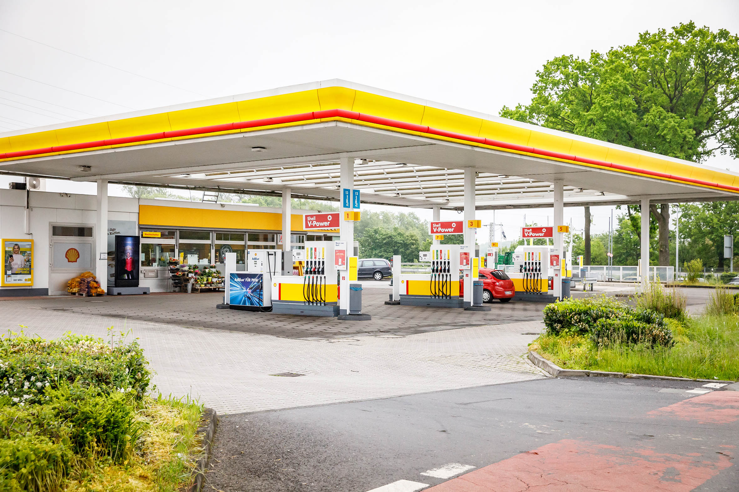 Galerie-Thumbnail