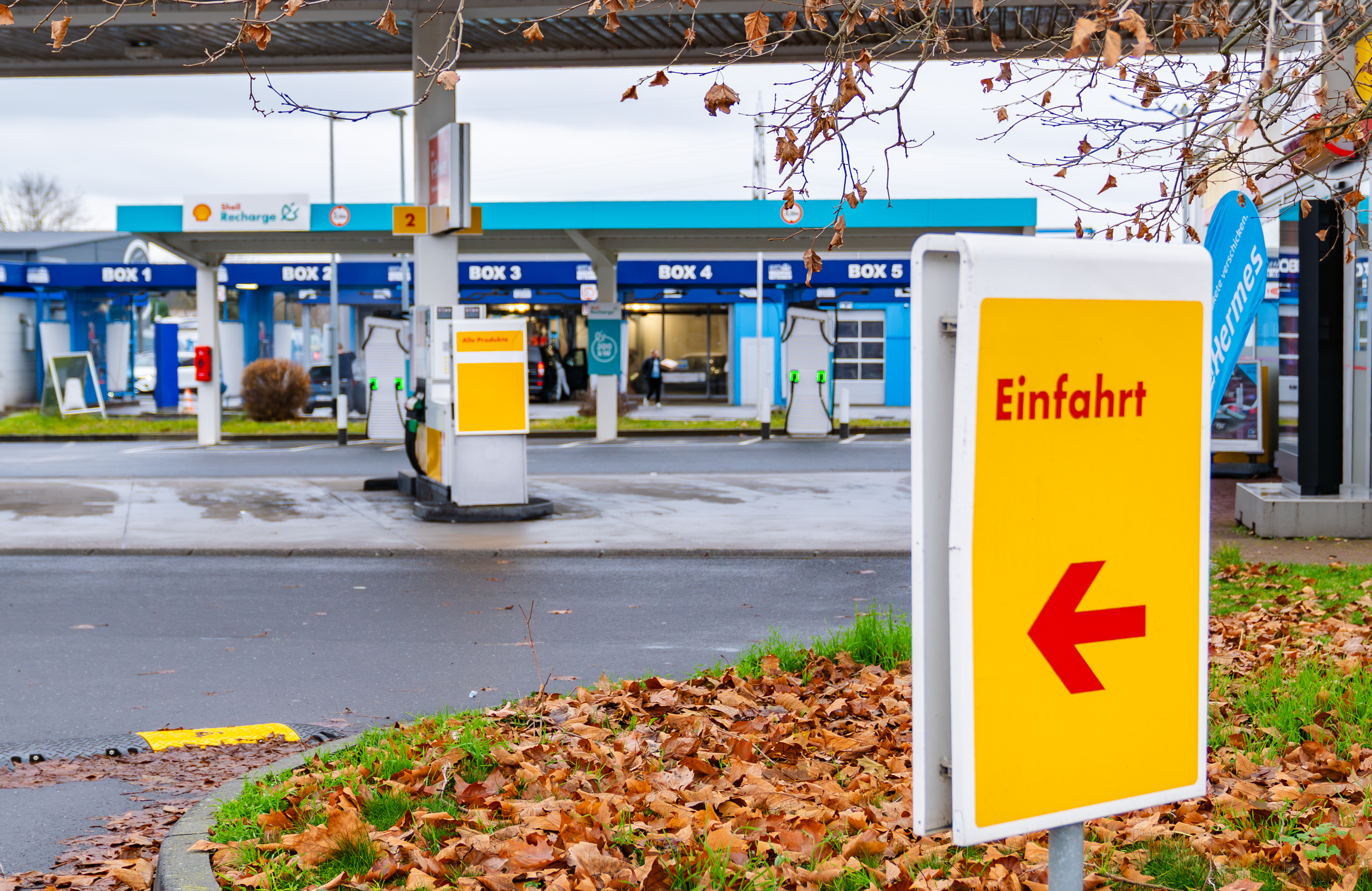Galerie-Thumbnail