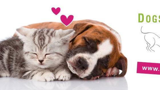 Dogs And More & Dogstyling Verena Arminger, Blumengasse in Theresienfeld