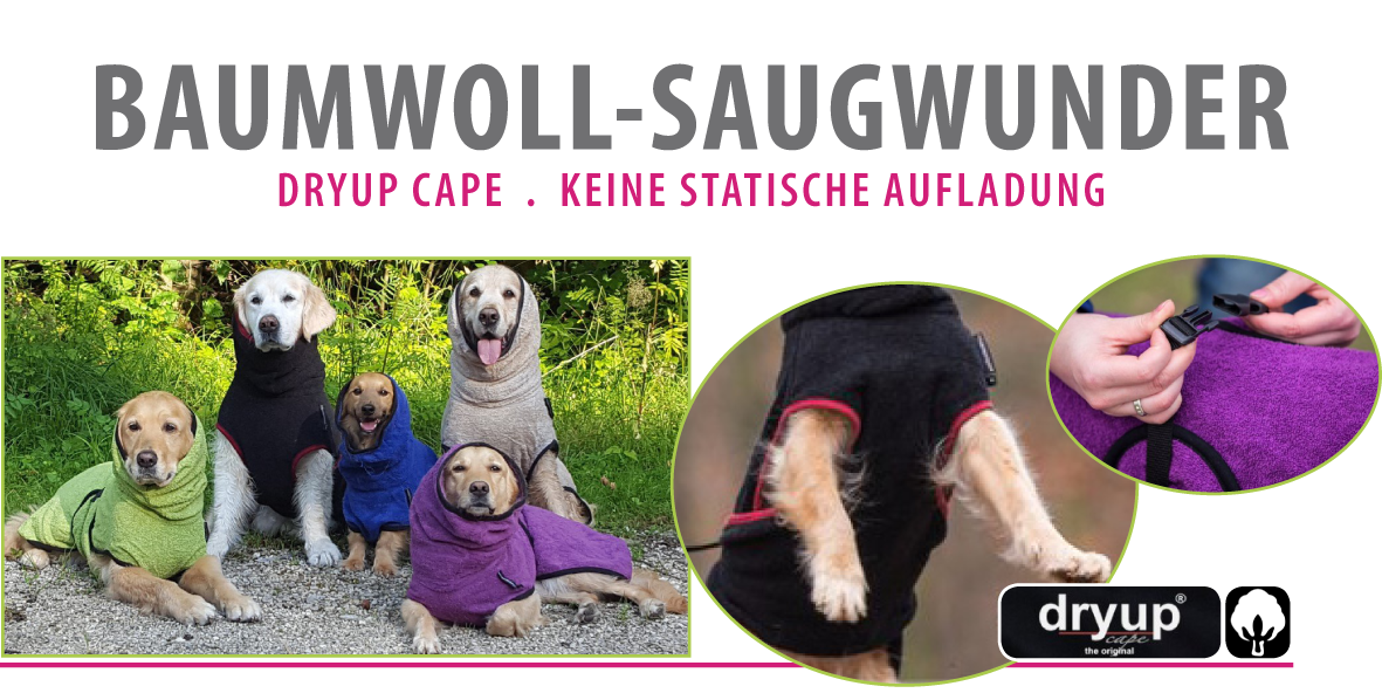 Dogs And More & Dogstyling Verena Arminger, Blumengasse in Theresienfeld