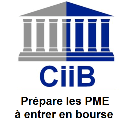 CiiB Conseil en Ingénierie et Introduction Boursière des PME-PMI Expert