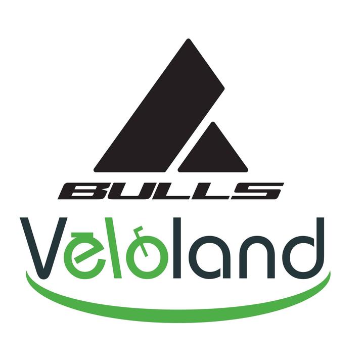 Velo Pro Shop réparation et restauration (objets divers)