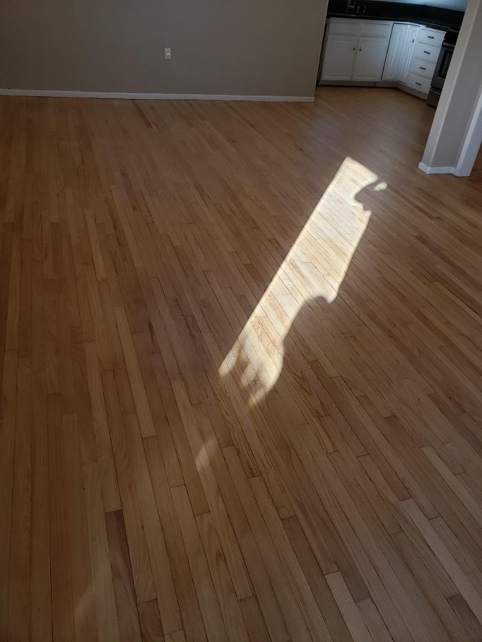 Hector's Handyman Services - La Puente, CA