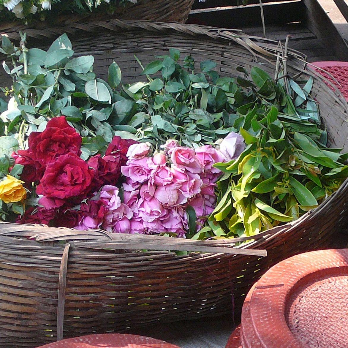 Marty Francine psychanalyste