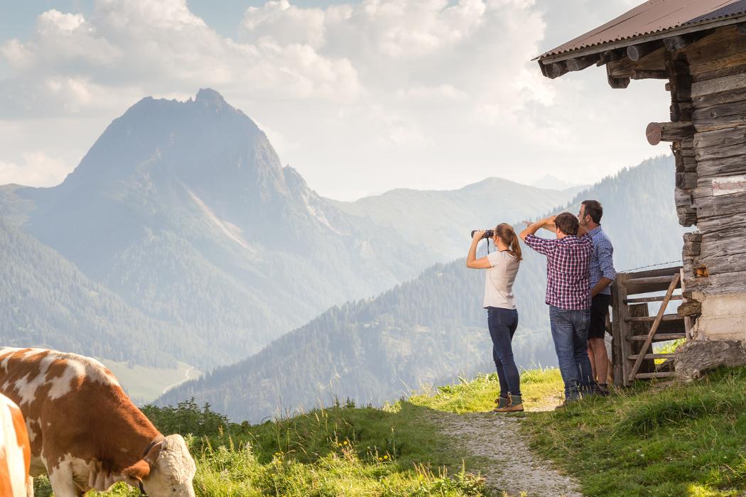 Aurum Immobilien, Kitzbüheler Straße in Kirchberg in Tirol