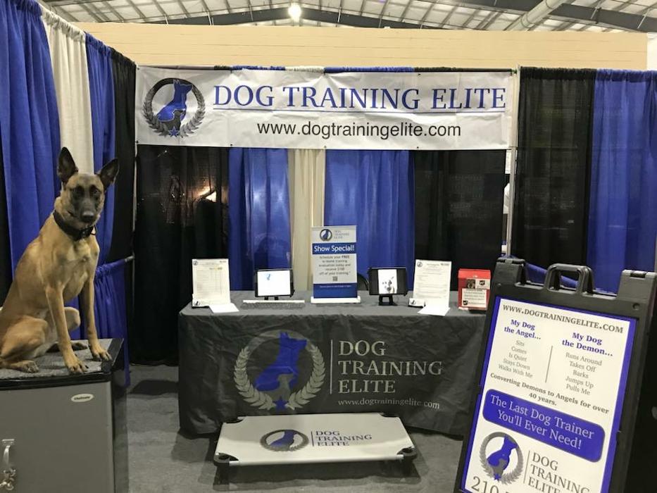 Dog Training Elite Tooele Valley - Tooele, UT