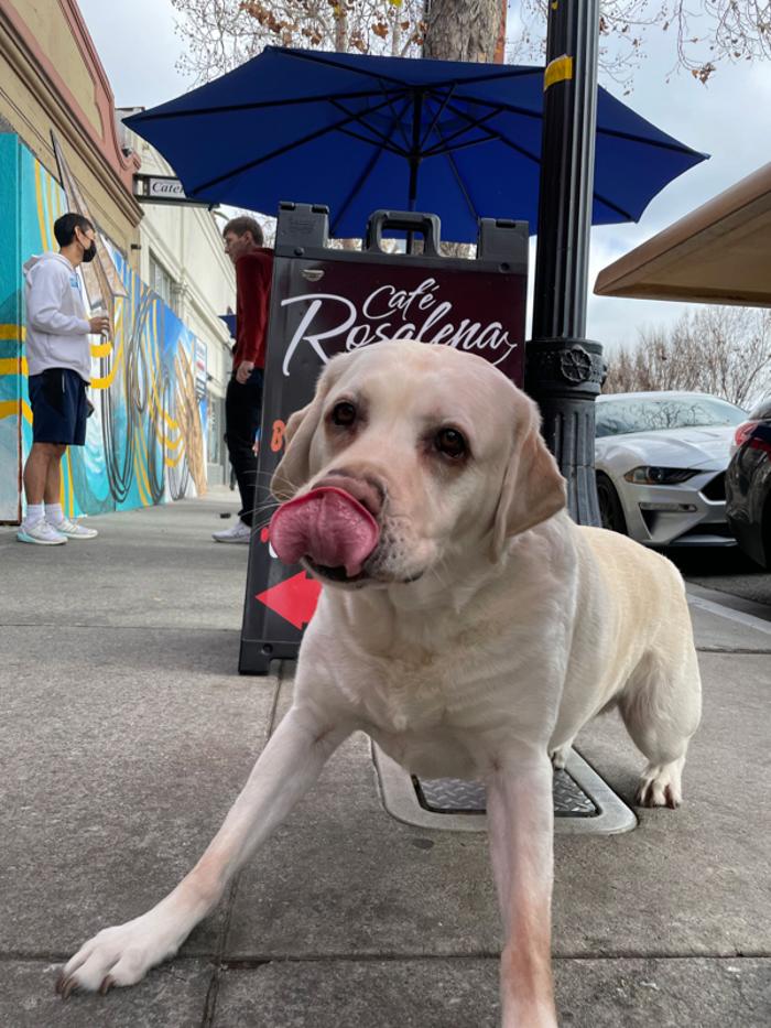 Cafe Rosalena - San Jose, CA