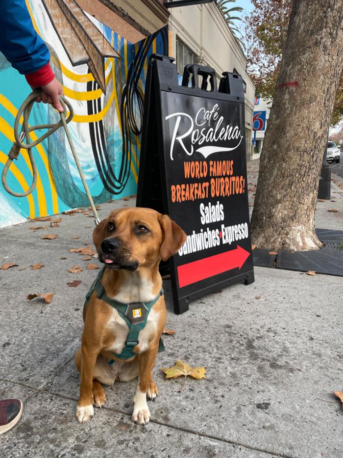 Cafe Rosalena - San Jose, CA