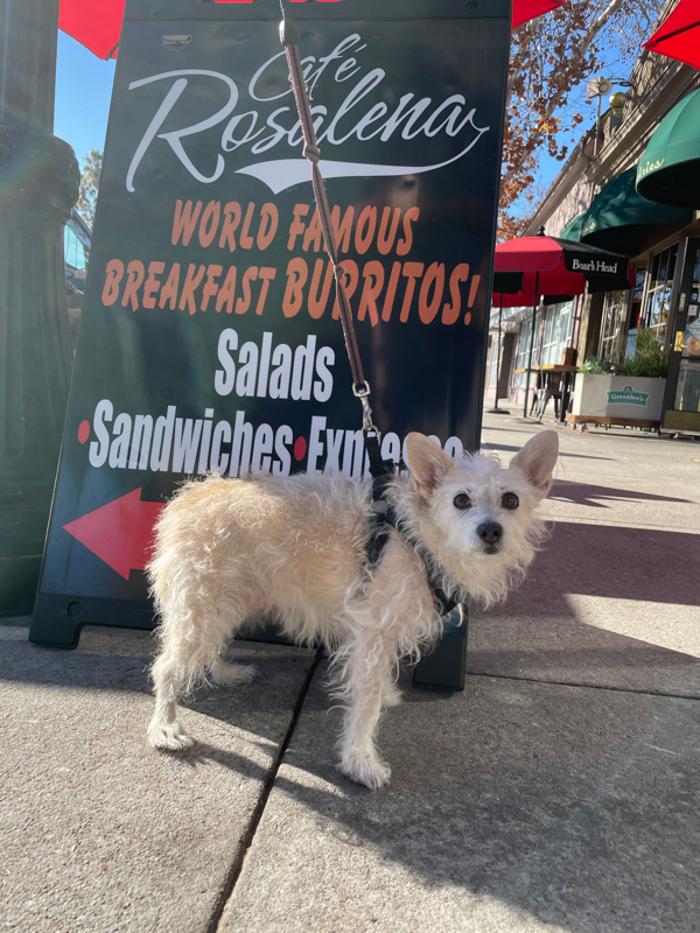 Cafe Rosalena - San Jose, CA