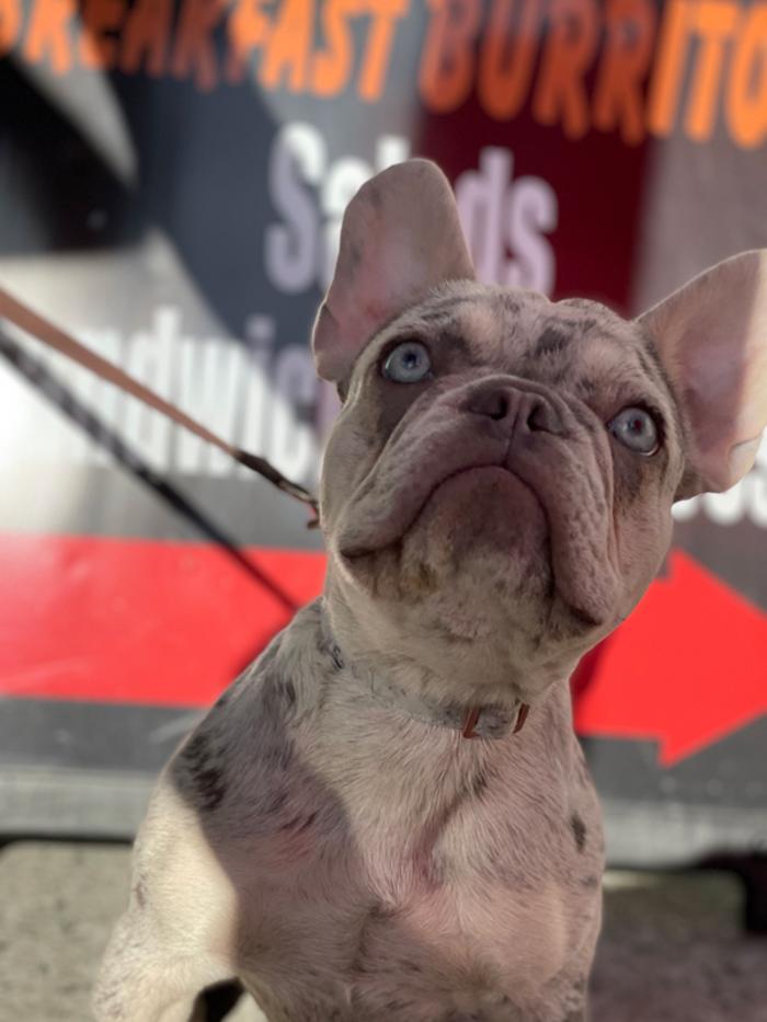 Cafe Rosalena - San Jose, CA