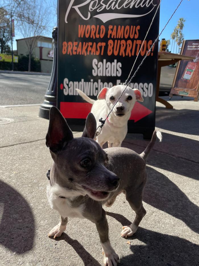 Cafe Rosalena - San Jose, CA