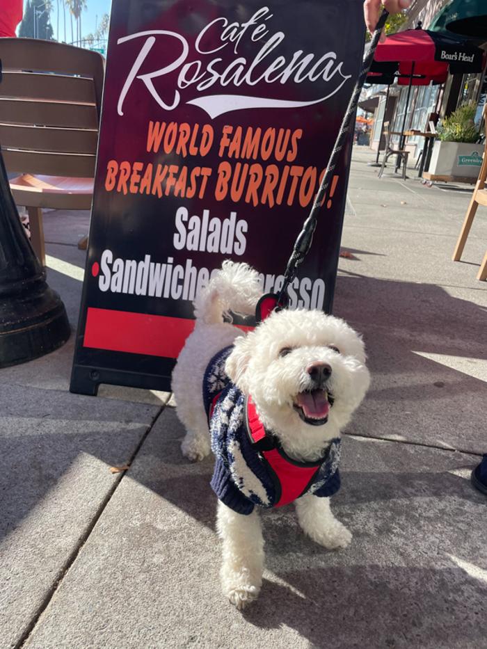 Cafe Rosalena - San Jose, CA