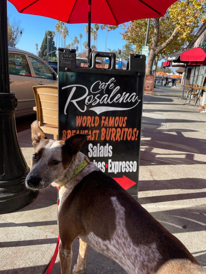 Cafe Rosalena - San Jose, CA