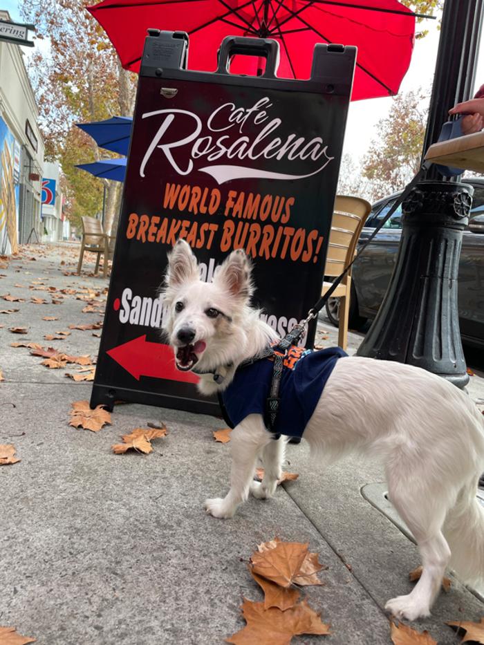 Cafe Rosalena - San Jose, CA