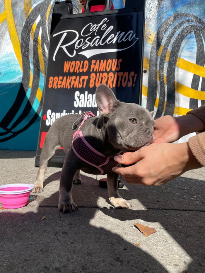 Cafe Rosalena - San Jose, CA