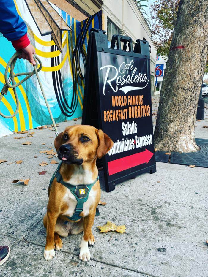 Cafe Rosalena - San Jose, CA