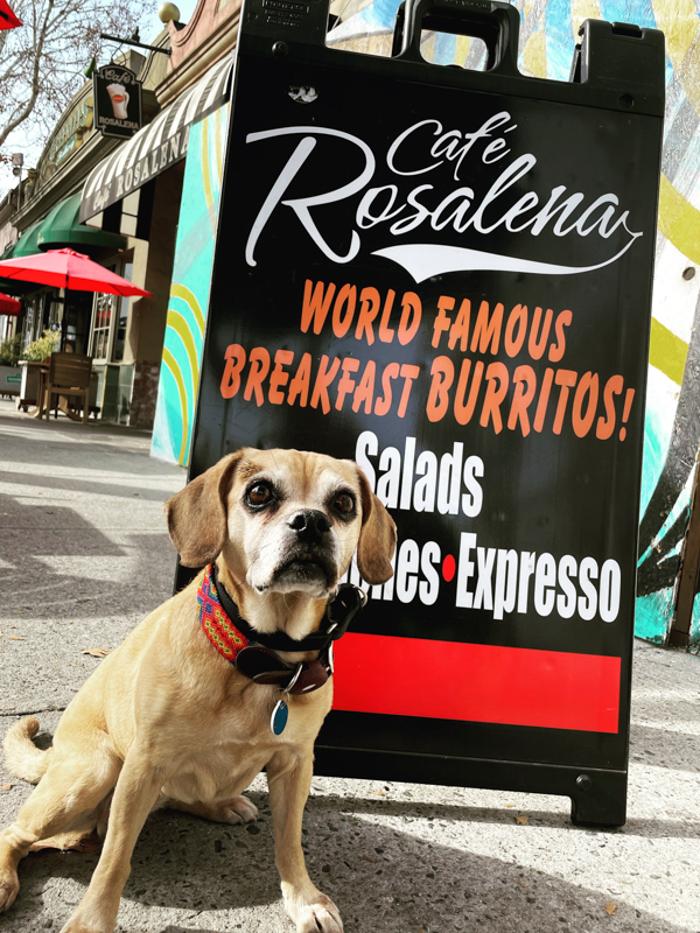 Cafe Rosalena - San Jose, CA