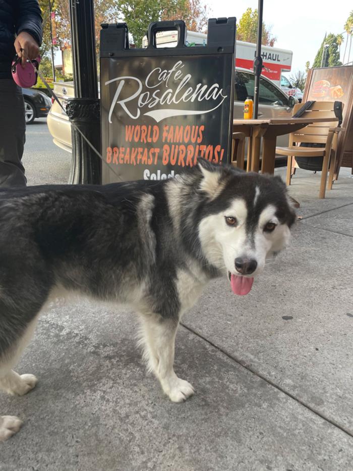 Cafe Rosalena - San Jose, CA