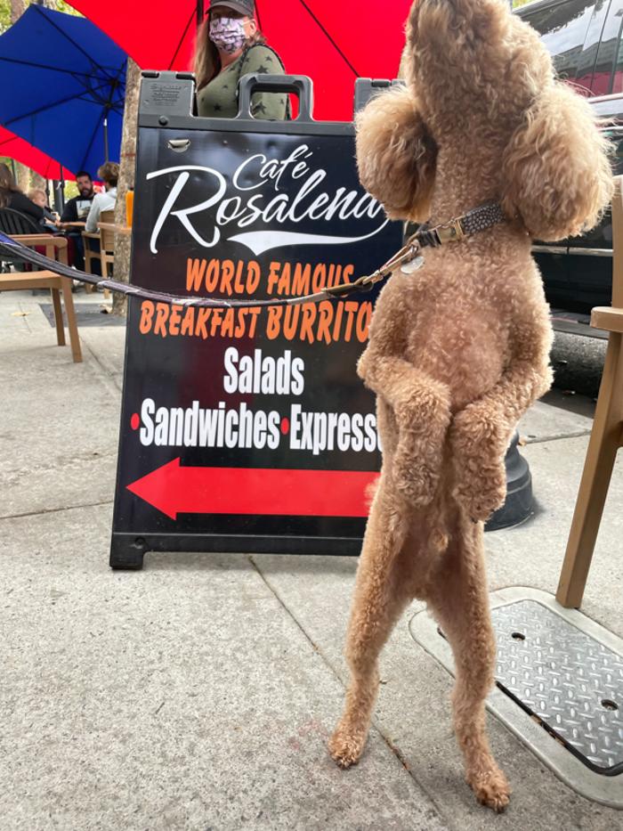 Cafe Rosalena - San Jose, CA