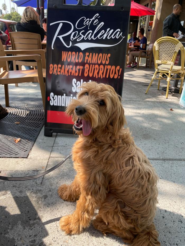 Cafe Rosalena - San Jose, CA