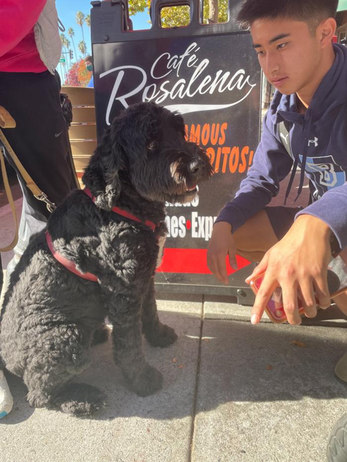 Cafe Rosalena - San Jose, CA