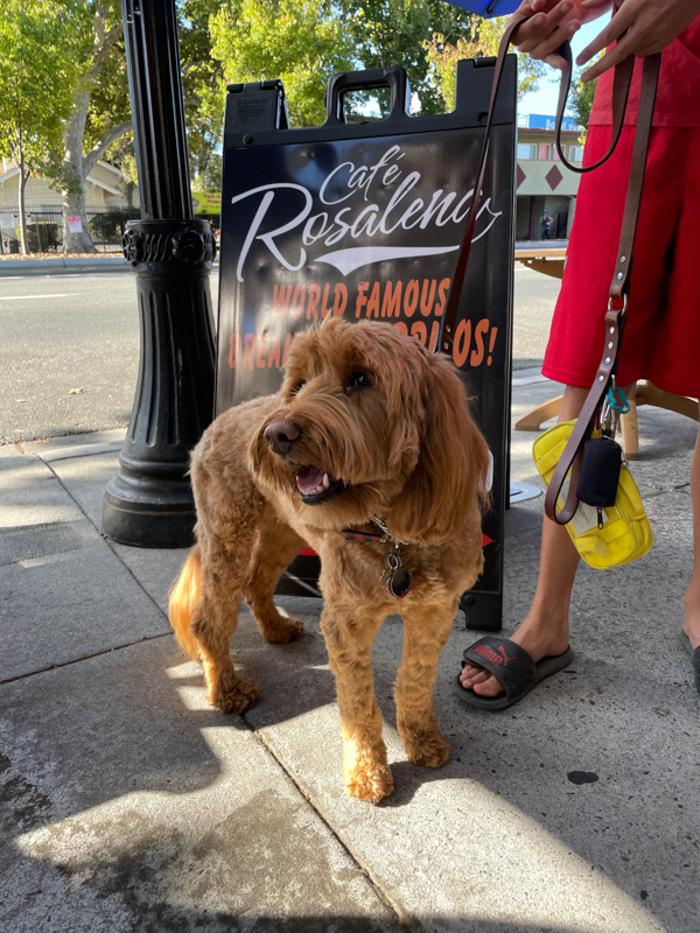 Cafe Rosalena - San Jose, CA