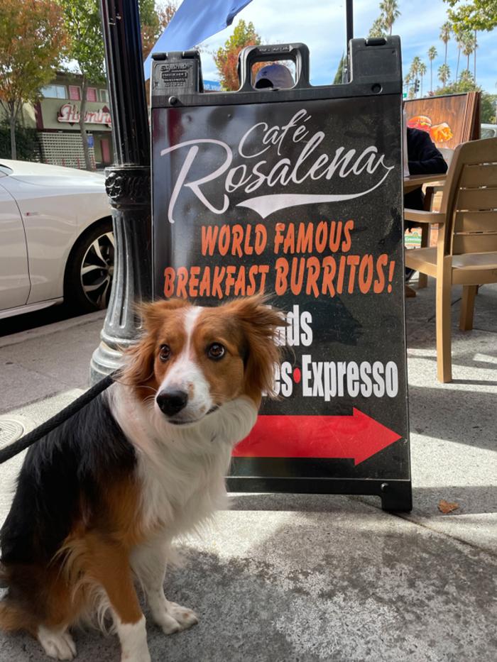 Cafe Rosalena - San Jose, CA