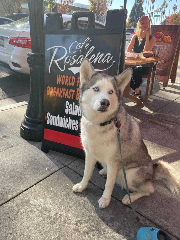 Cafe Rosalena - San Jose, CA