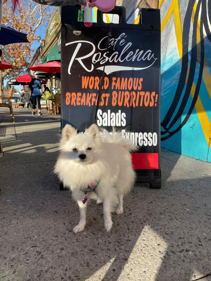 Cafe Rosalena - San Jose, CA