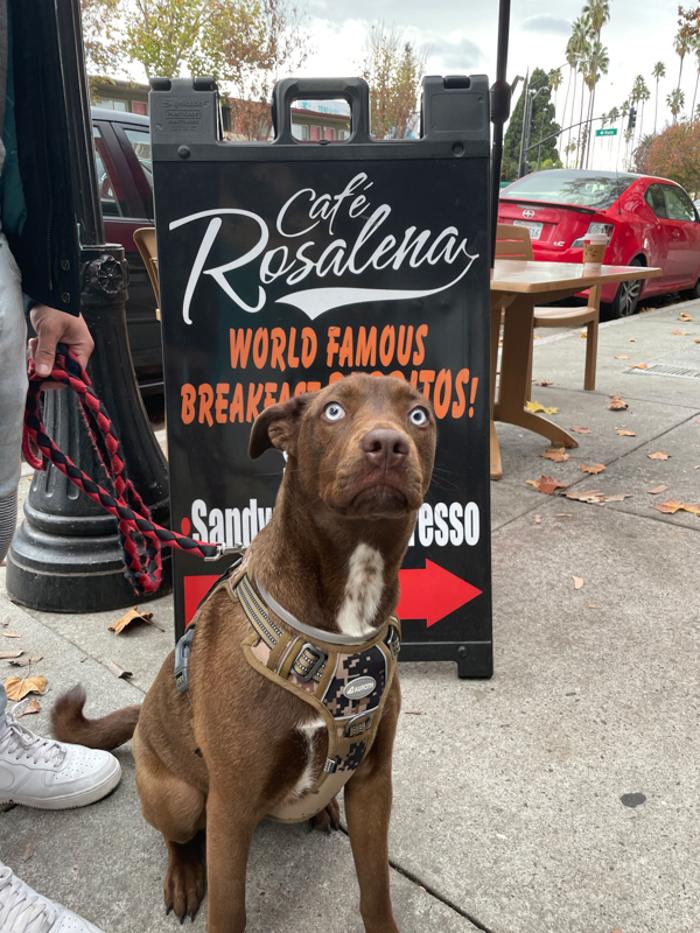 Cafe Rosalena - San Jose, CA