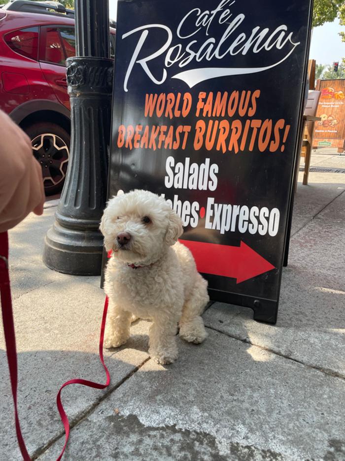 Cafe Rosalena - San Jose, CA