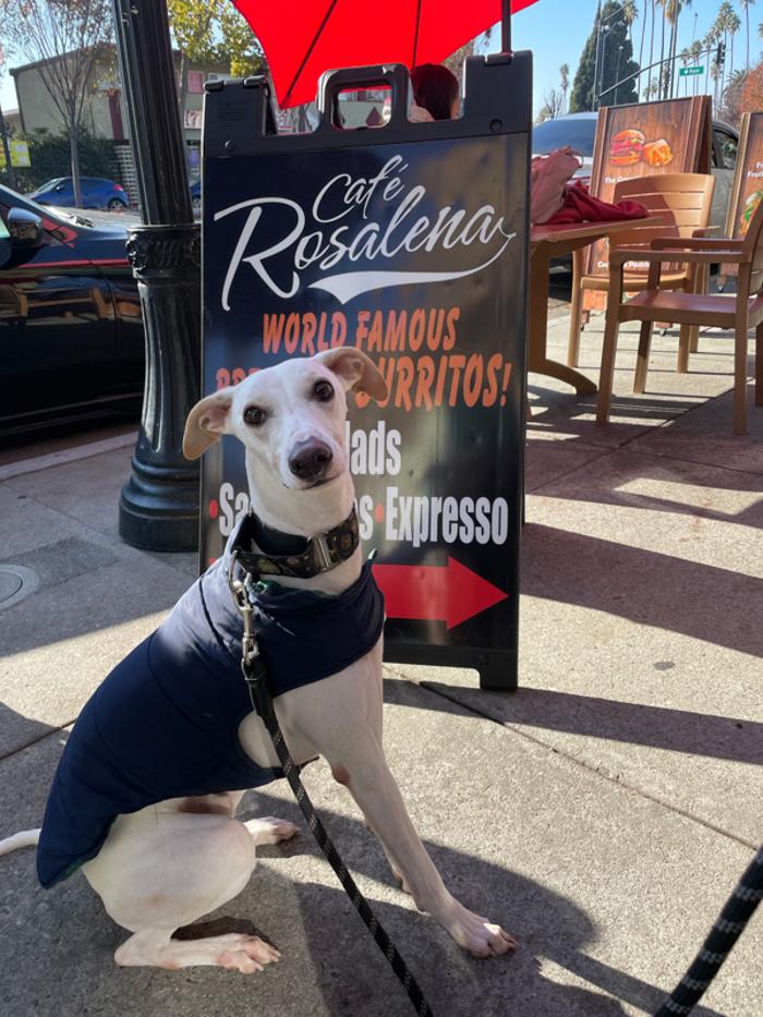 Cafe Rosalena - San Jose, CA