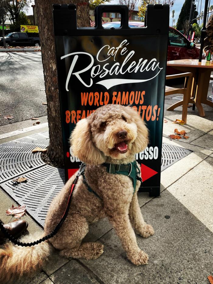 Cafe Rosalena - San Jose, CA