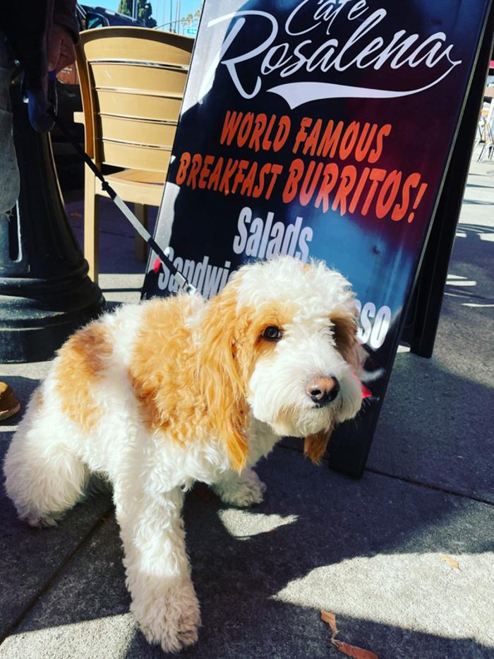 Cafe Rosalena - San Jose, CA