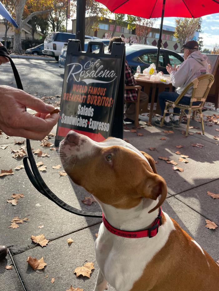 Cafe Rosalena - San Jose, CA