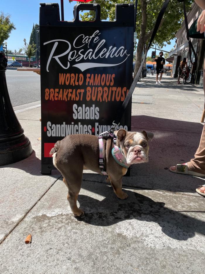 Cafe Rosalena - San Jose, CA