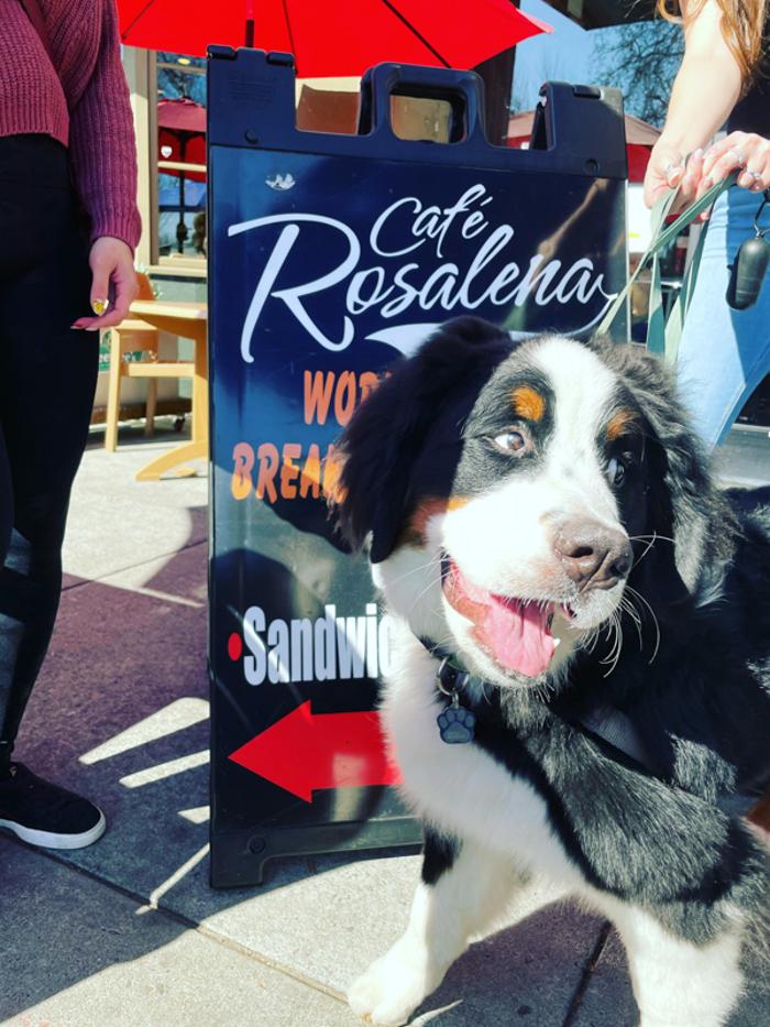 Cafe Rosalena - San Jose, CA