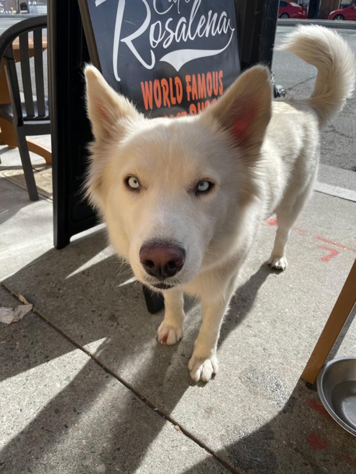 Cafe Rosalena - San Jose, CA