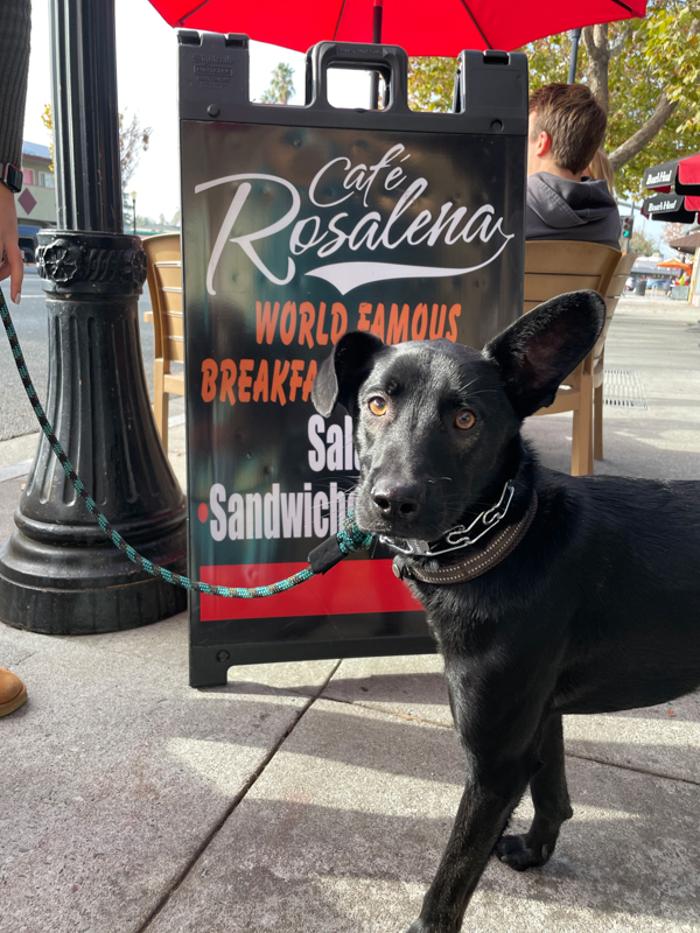 Cafe Rosalena - San Jose, CA