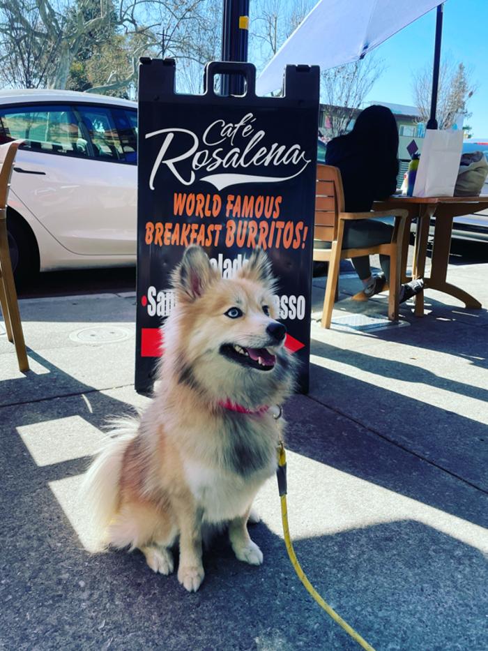 Cafe Rosalena - San Jose, CA