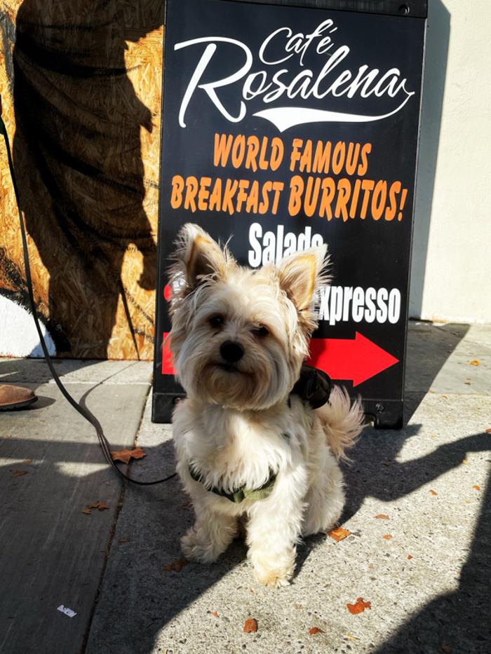 Cafe Rosalena - San Jose, CA