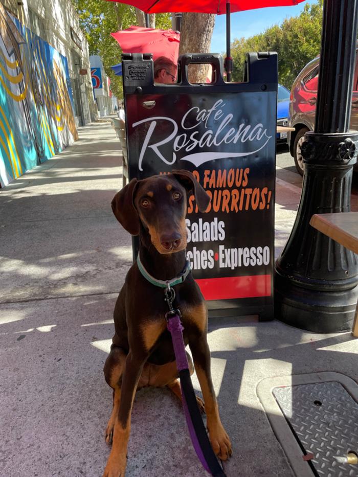 Cafe Rosalena - San Jose, CA